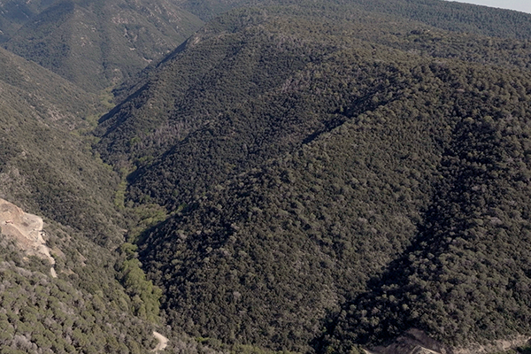 C3C Saligarda del Congost Curta